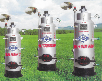 立式燃煤高温低压锅炉
